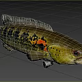 Vibrant Aquatic Fish With Yellow Black Coloration Red Eyes And Orange Spot