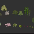 Diverse Collection of Trees with Green Pink Yellow Foliage and Various Shapes