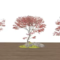 Red Leaf Trees with Stones and Green Grass on Wooden Floor Against White Background