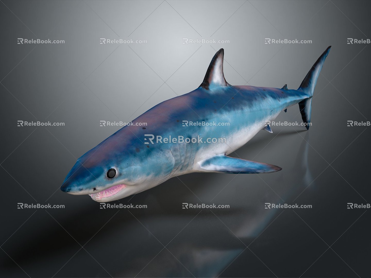 Modern shark great white shark whale shark hammerhead shark 3d model