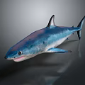 Realistic Blue Shark Aquatic Animal with Lifelike Features and Shiny Sleek Body