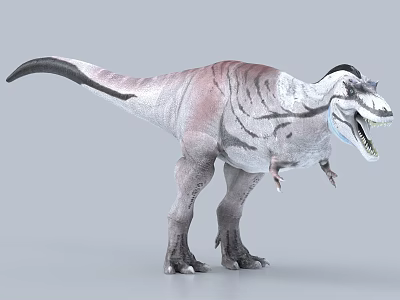 Realistic 3D Dinosaur Model Featuring Open Mouth Gray Pink Skin And Long Tail 3d model