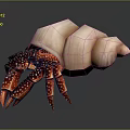 Hermit Crab Carrying Pink Spiral Shell With Red Legs And White Spots