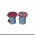 Two Bonsai Potted Plants With Pink Roses In White Bucket Shaped Pots And Lush Blooms