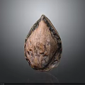 Natural Walnut Food With Brown Textured Surface And Organic Shape Details