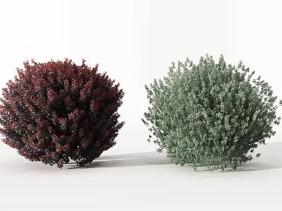 Two Decorative Rounded Bushes Red and Light Green for Garden Landscape 3d model