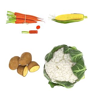 Modern Vegetables Vegetable Food Carrots Corn cabbage Potatoes 3d model