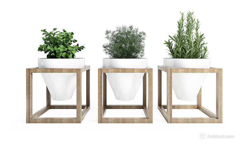 Potted Plants on Wooden Square Stands with White Conical Pots and Various Green Foliage 3d model 