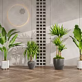 Modern Indoor Potted Plants With Tropical Leaves In Stylish Pots And Decorative Wall