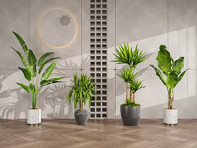 Modern Indoor Potted Plants With Tropical Leaves In Stylish Pots And Decorative Wall 3d model