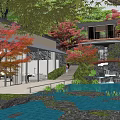Tranquil Courtyard Garden With Red Maple Trees Water Pond Stone Decorations Glass Walls And Reflections