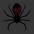 Black Spider With Red Pattern On Body And Red Eyes Against Gray Background