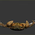 Brownish Crab With Orange Claws On Smooth Black Surface And Reflection
