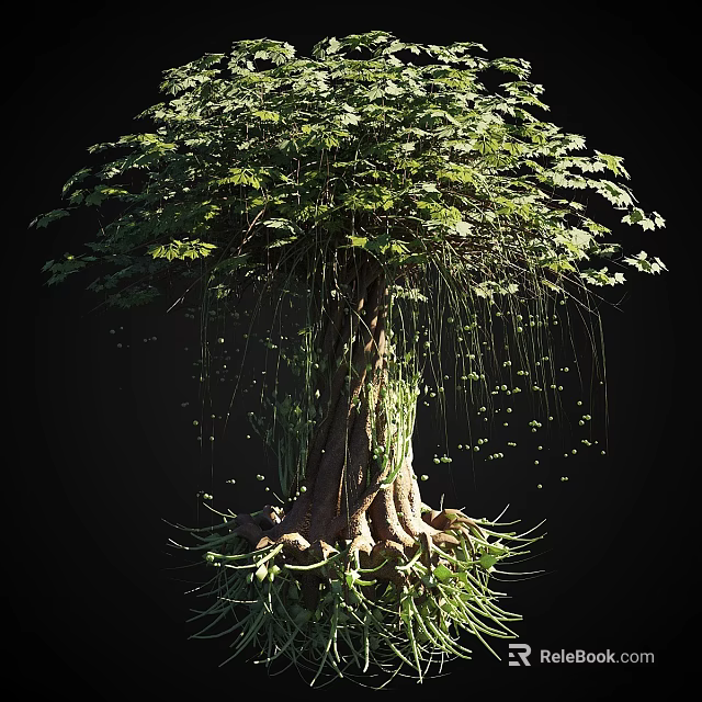 Lush Tall Arbor With Thick Trunk Developed Roots Hanging Aerial Roots And Dense Green Foliage 3d model 