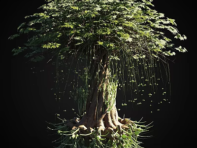 Lush Tall Arbor With Thick Trunk Developed Roots Hanging Aerial Roots And Dense Green Foliage 3d model