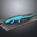 Vibrant Blue Reptile Lizard Crawling on Rough Textured Ground Surface