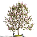 Arbor Featuring Purple Flowers And Green Leaves With People Standing And Sitting Under It