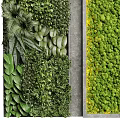 Vertical Garden Living Plant Wall Interior Design With Ferns Succulents And Moss