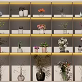 Various Decorative Vases With Flowers And Plants On Illuminated Wall Mounted Shelves