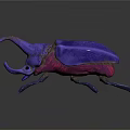 Purple and Pink Beetle With Large Horn 3D Rendered on Black Background
