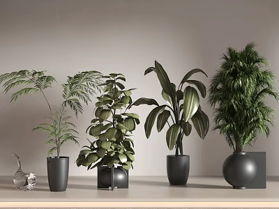 Green Potted Plants in Black Pots on Light Table with Gray Wall and Glass Decor 3d model