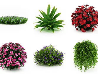 Modern Flowers 3d model