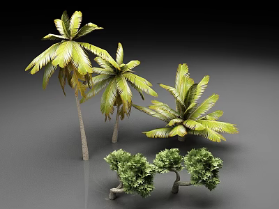 Tropical Palm Trees And Green Shrubs 3D Model Display With Lush Foliage 3d model