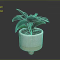 Green Leafy Potted Plant In Textured White Ceramic Pot With Wooden Base