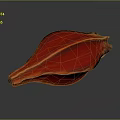Red Flower Petal With Yellow Veins On Dark Reflective Surface