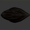 Stylish Dark Brown Corduroy Hat With Feather Decoration For Daily Use