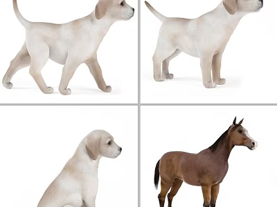 Various Reptile Species In Natural Habitat With Rocks And Vegetation 3d model