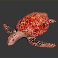 Red Shell Turtle With Orange And Black Patterned Flippers On Gray Background 3d model