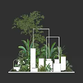 Stylish Plant Combination With White Geometric Structures And Various Green Plants 3d model