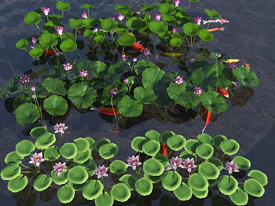 Pink Lotus Flowers Green Leaves and Koi Fish Swimming in Water Pond 3d model