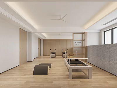 Bright Indoor Pilates Studio With Fitness Equipment And Wood Floors 3d model