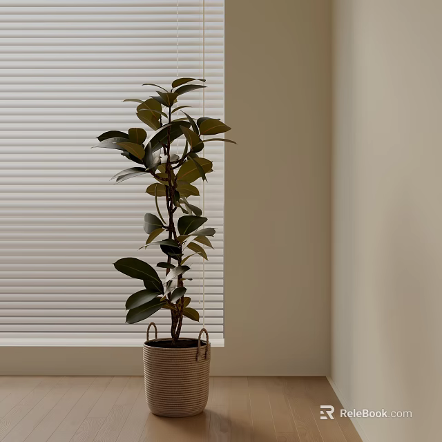 Tall Green Potted Plant With Large Leaves In Woven Basket In Corner By White Blinds 3d model 