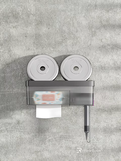 Wall Mounted Storage Rack With Double Paper Roll Holders And Transparent Compartment 3d model 