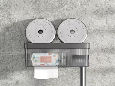 Wall Mounted Storage Rack With Double Paper Roll Holders And Transparent Compartment 3d model