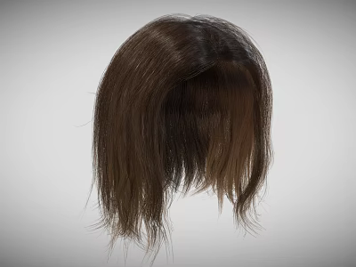 Men's Brown Hair Wig With Natural Strands And Layered Design For Daily Use 3d model Men's Brown Hair Wig With Natural Strands And Layered Design For Daily Use 3d model