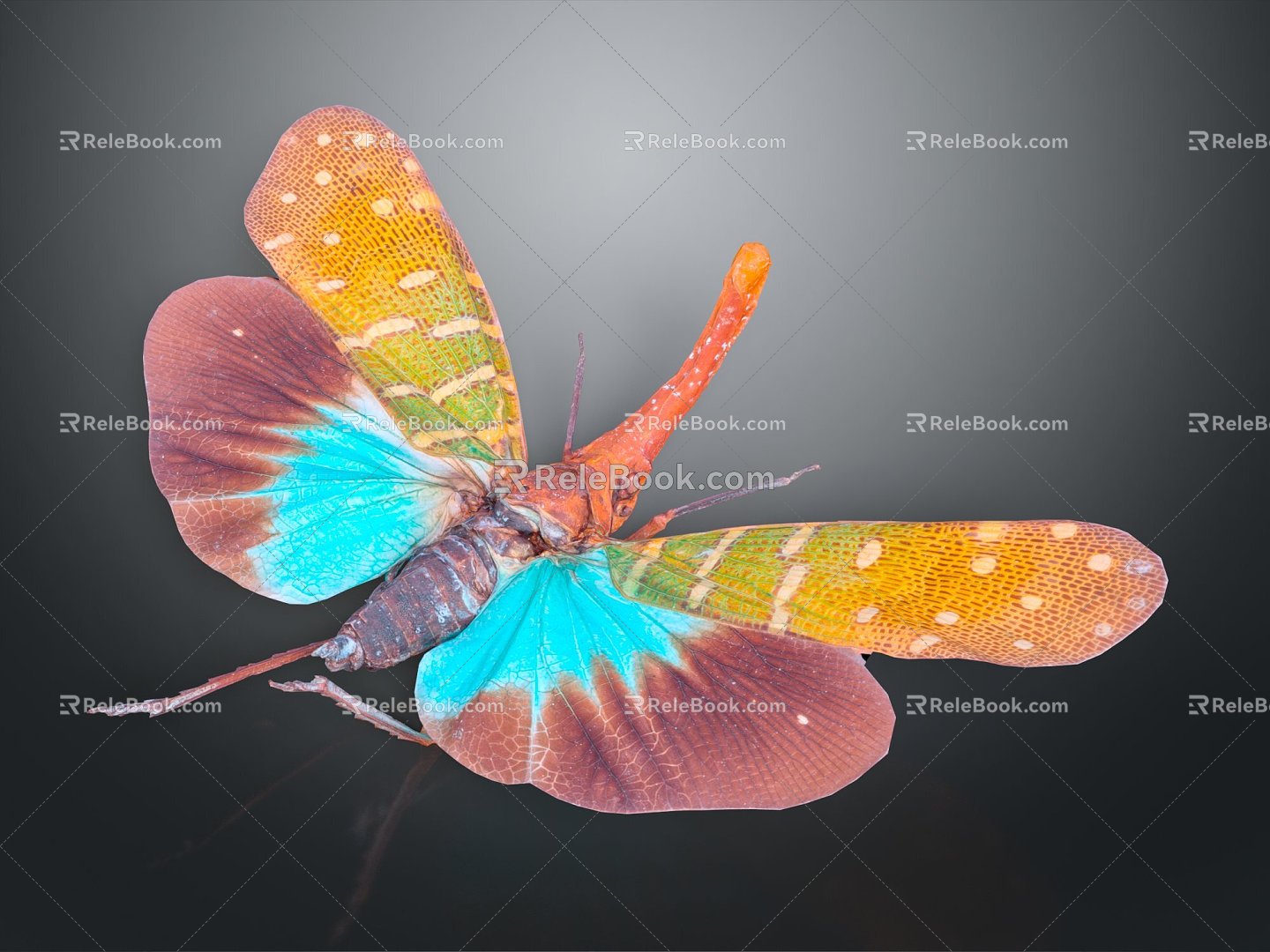 Modern wax cicada oriental wax cicada 3d model