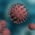 Three Red Spiked Viruses on Blue Background with Microscopic Structure Details 3d model