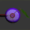 Colorful Poison Bottle With Red Cork Stopper Purple Blue Gradient And Green Leaf