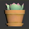 Succulent Plant with Green and Pink Leaves in Orange Pot with Saucer on Dark Surface