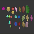 Various Marine Animal Shells With Different Shapes Sizes Light Brown Beige Tones On Dark Background