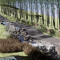 Scenic Park Landscape with Winding Path Tall Trees Rocks and Green Grass Areas