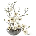 Elegant Silver Vase With White Magnolia Flowers And Green Branches