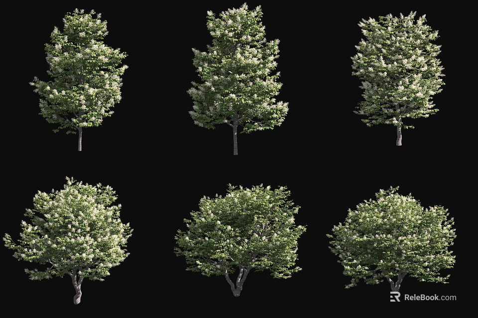 Six Different Arbor Trees With Lush Green Foliage And Varied Crown Shapes 3d model 