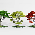modern maple landscape tree red maple 3d model