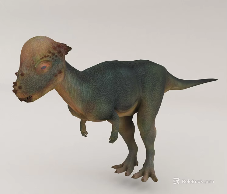 Realistic Dinosaur Model With Unique Head Shape And Body Color 3d model