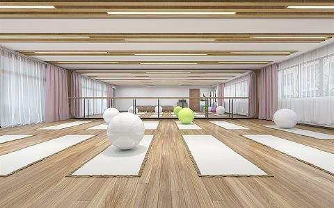 Modern Yoga Room 3d model